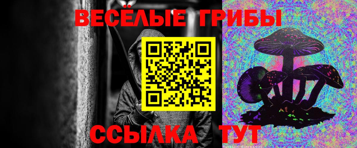 Галлюциногенные грибы Psilocybine cubensis Кунгур
