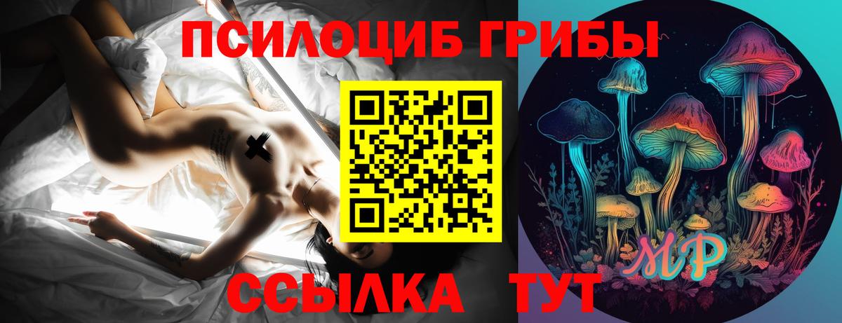 Псилоцибиновые грибы мицелий  дарнет шоп  Кунгур  Вход с VPN  Псилоцибиновые грибы Cubensis 